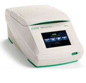 PCR  ： 伯樂，東勝龍